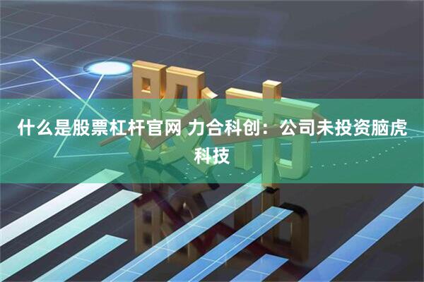 什么是股票杠杆官网 力合科创：公司未投资脑虎科技
